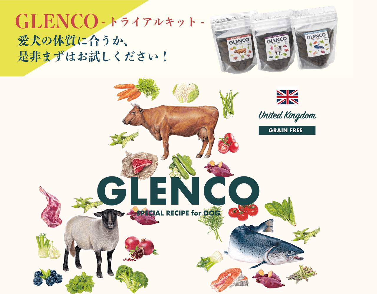 GLENCOドッグフードの紹介画像